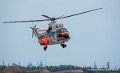 puma_2802