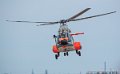 puma_2803