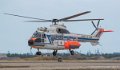 puma_2805