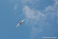rafale-rsd_3185
