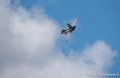 rafale_2564