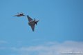 rafale_2575