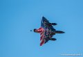 ramex-delta_2103