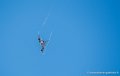 ramex-delta_2117