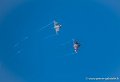 ramex-delta_2155