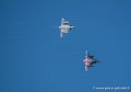 ramex-delta_2156