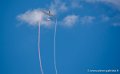 swift_2531