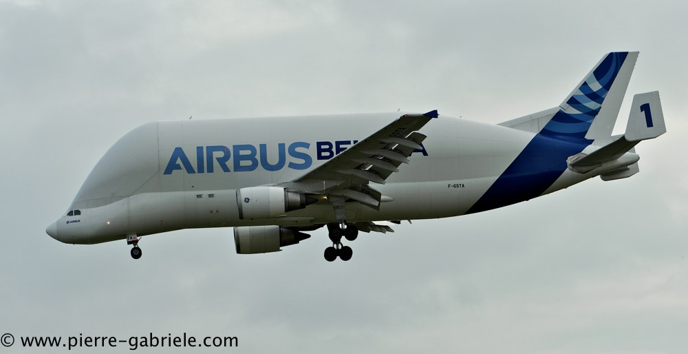 beluga_3190.jpg