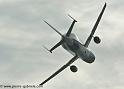 beluga_3170