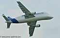beluga_3178