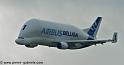 beluga_3197