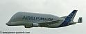 beluga_3200