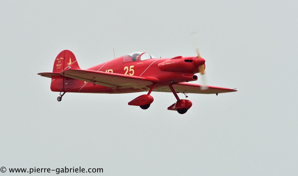 busard_2737.jpg