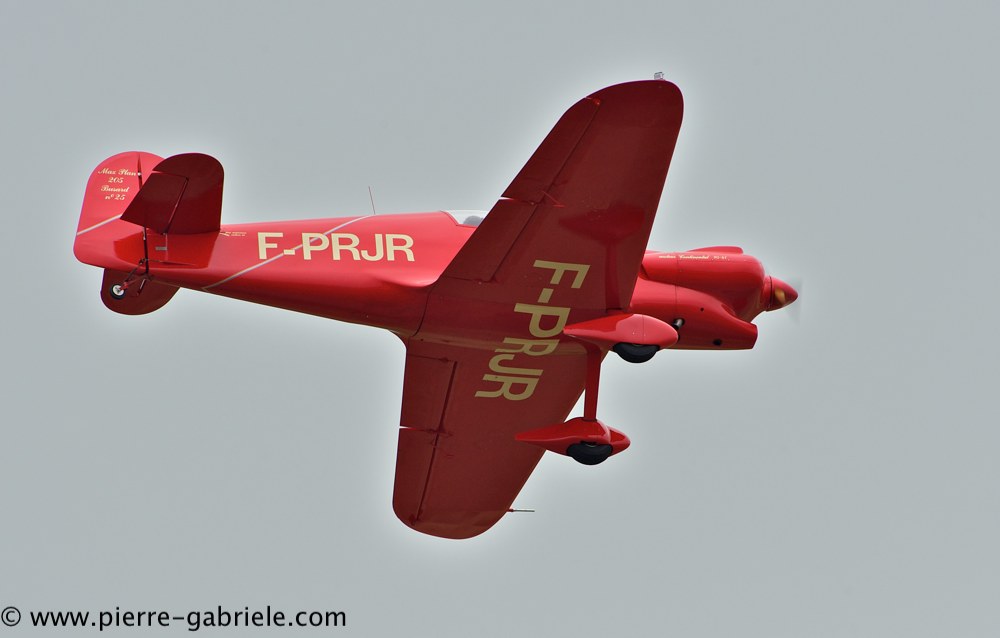 busard_2743.jpg