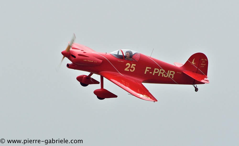 busard_2745.jpg
