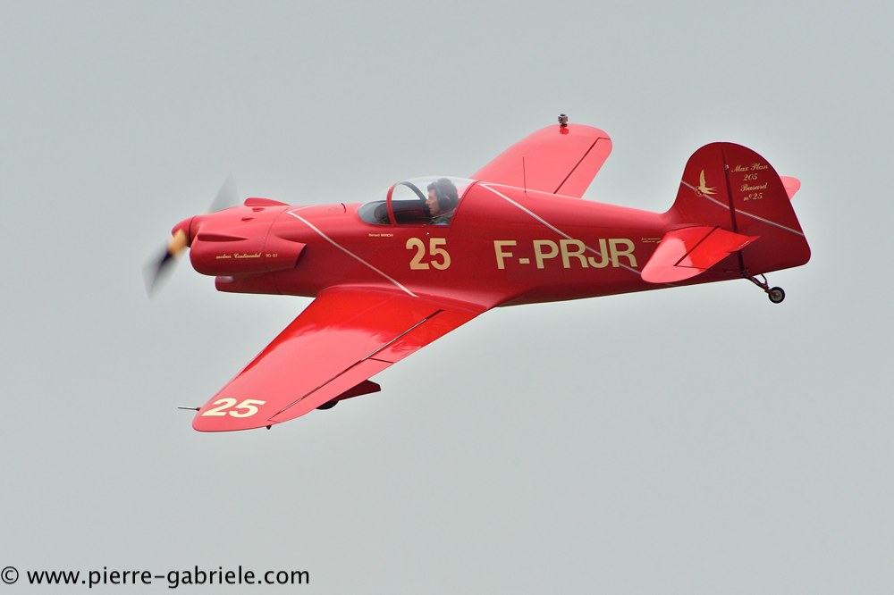 busard_2748.jpg