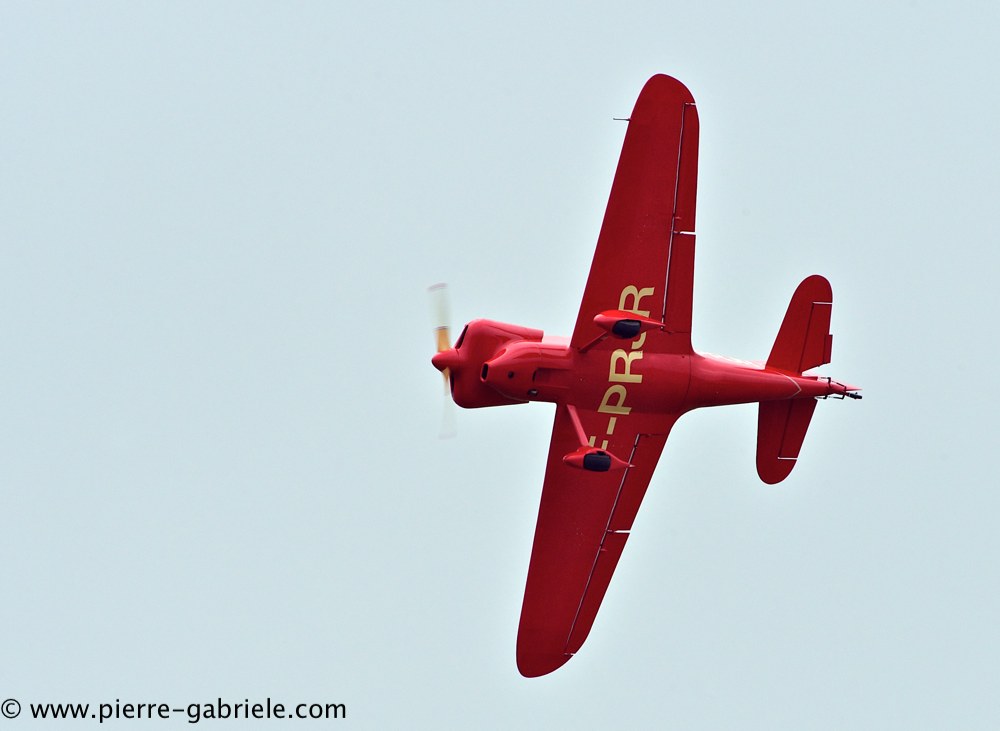 busard_2761.jpg
