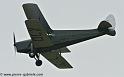 hornet-moth_2854