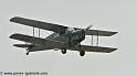 hornet-moth_2857