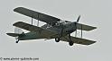 hornet-moth_2858