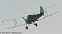 hornet-moth_2867