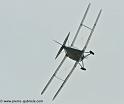hornet-moth_2870