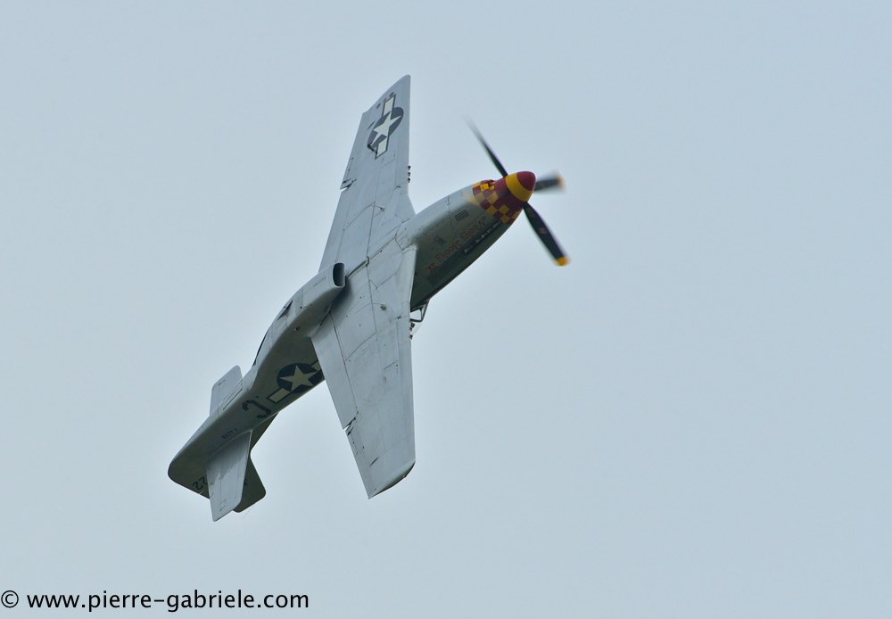 mustang_3067.jpg