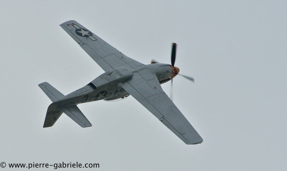 mustang_3081.jpg