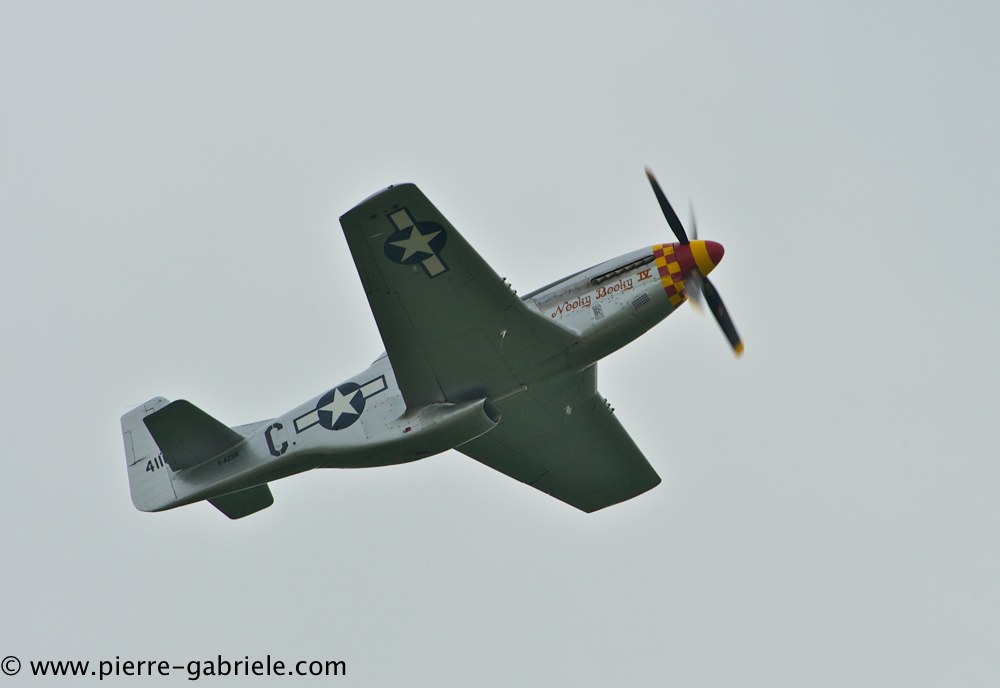 mustang_3087.jpg