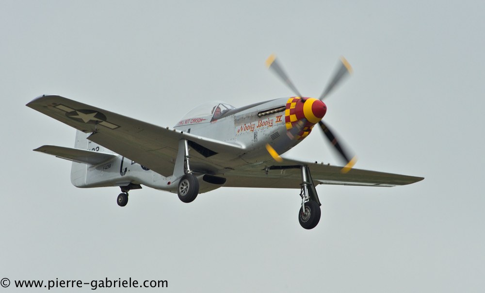 mustang_3100.jpg