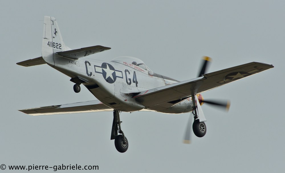 mustang_3104.jpg