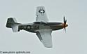 mustang_3096