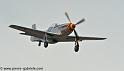 mustang_3099