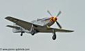 mustang_3100