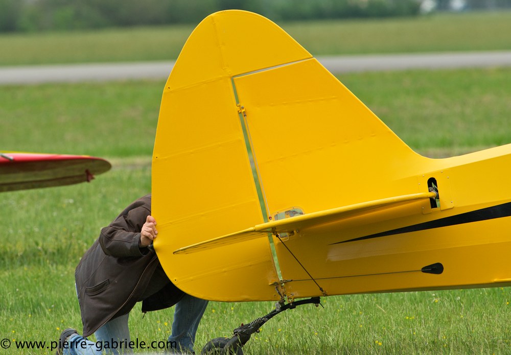 piper_2351.jpg