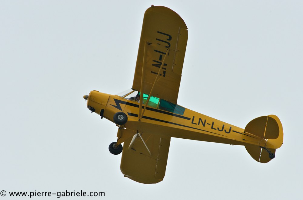 piper_2356.jpg