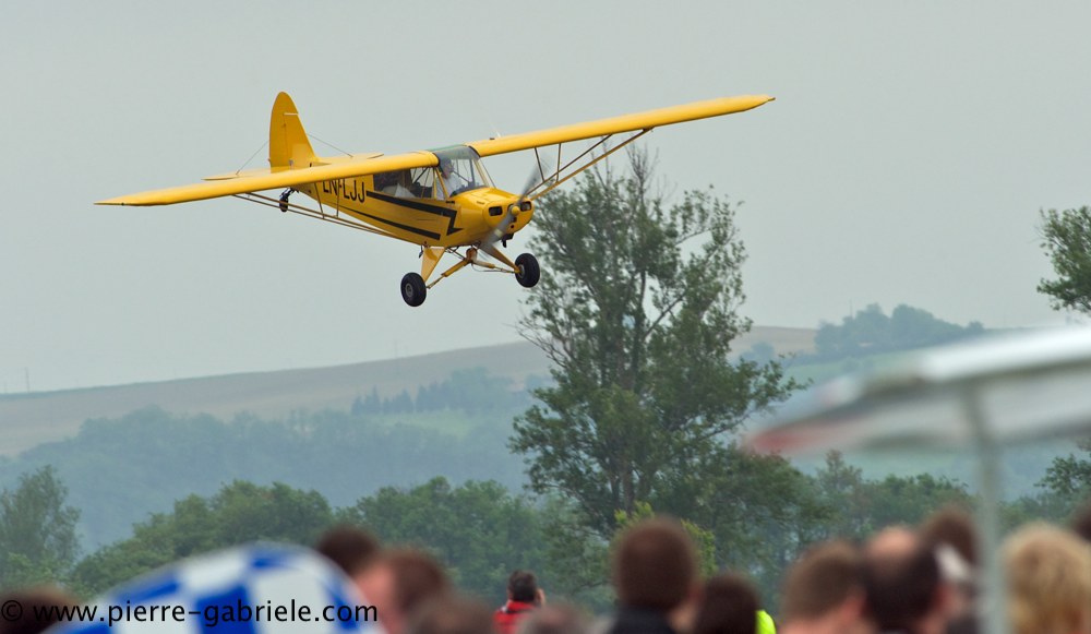 piper_2358.jpg