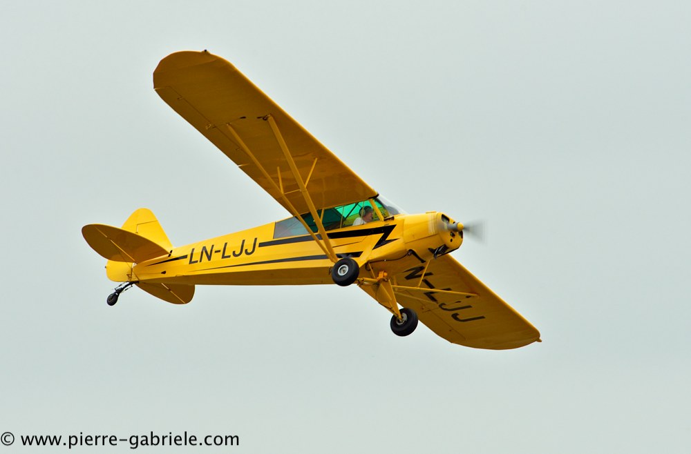piper_2364.jpg