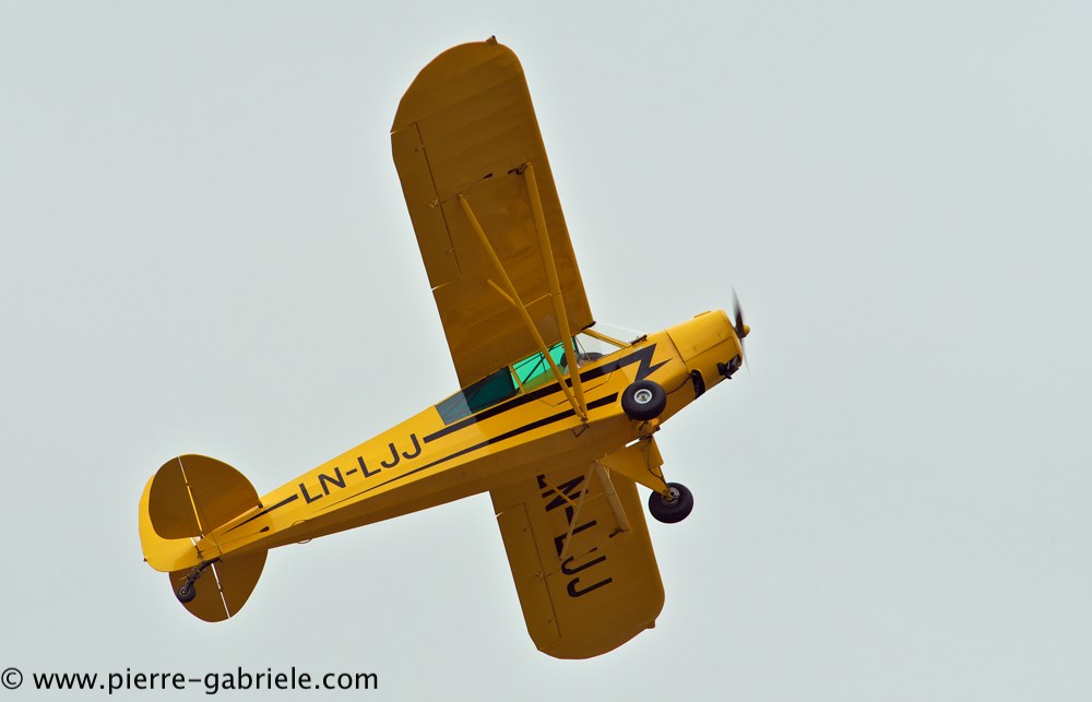 piper_2365.jpg