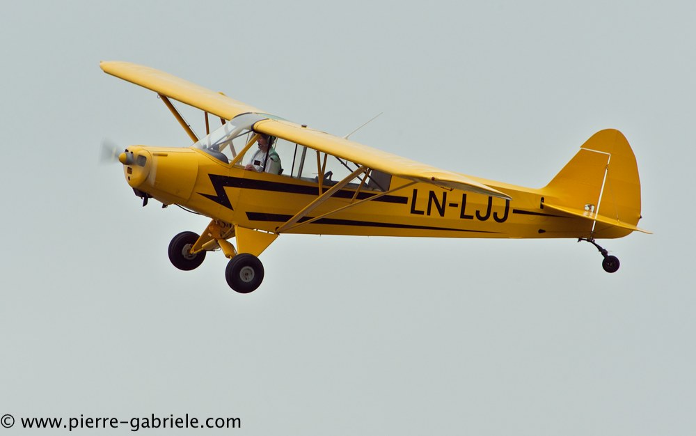 piper_2367.jpg