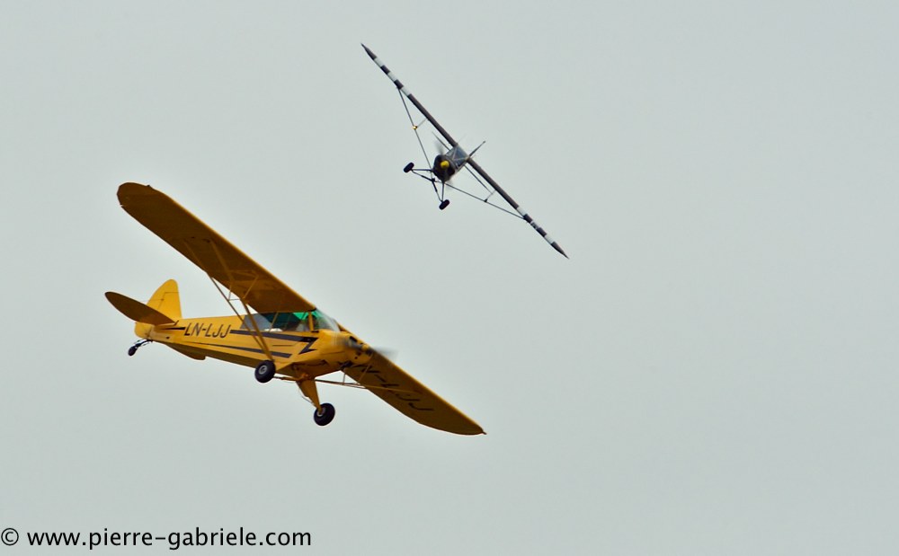 piper_2370.jpg
