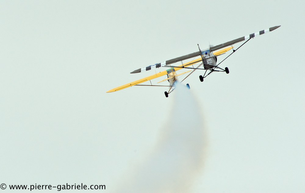 piper_2378.jpg