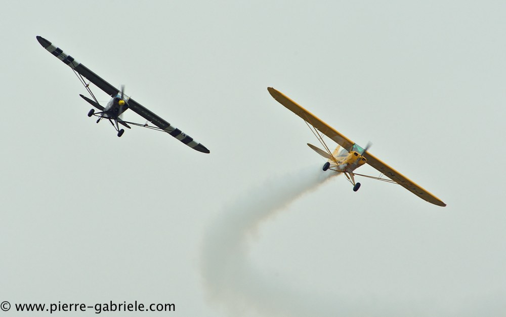 piper_2382.jpg