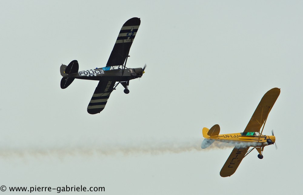 piper_2384.jpg