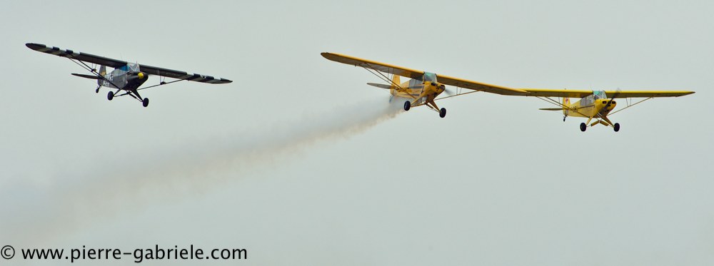 piper_2396.jpg