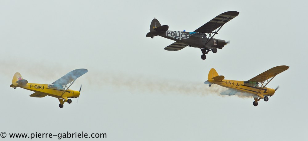 piper_2401.jpg