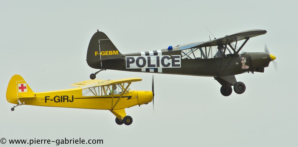 piper_2403.jpg