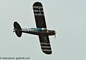 piper_2372