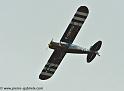 piper_2374