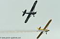 piper_2385